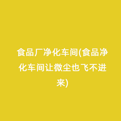 食品廠凈化車間(食品凈化車間讓微塵也飛不進(jìn)來(lái))